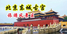 啊啊进去了鸡把肉穴视频中国北京-东城古宫旅游风景区